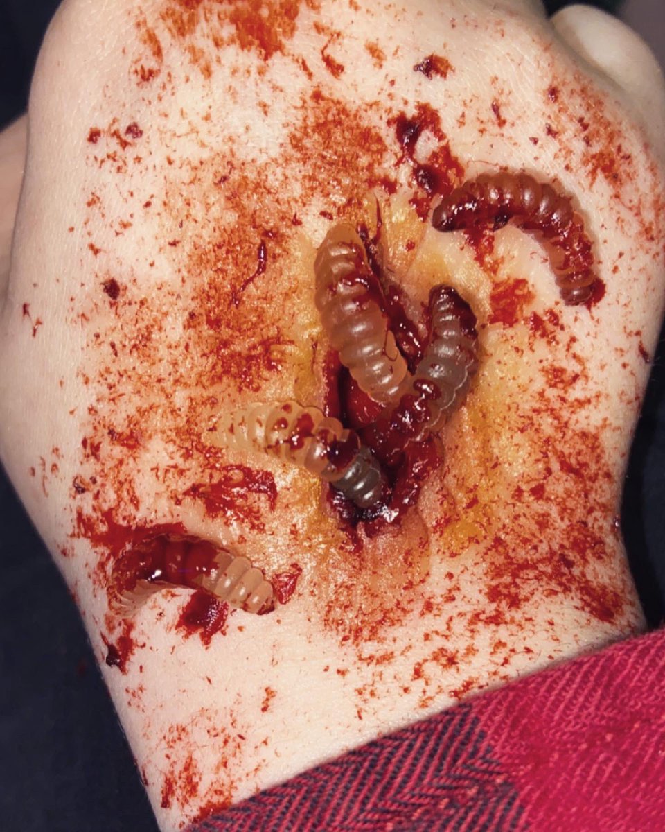 xcherrychild's tweet photo. I love making new friends #sfx #horror #sfxmakeup #slasherfilms https://t.co/q9wt87acF7