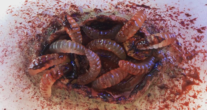 xcherrychild's tweet photo. I love making new friends #sfx #horror #sfxmakeup #slasherfilms https://t.co/q9wt87acF7