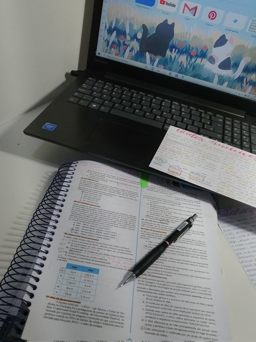 sofisnote's tweet image. 10.03.22

um dia mto cheio mas mto bom!