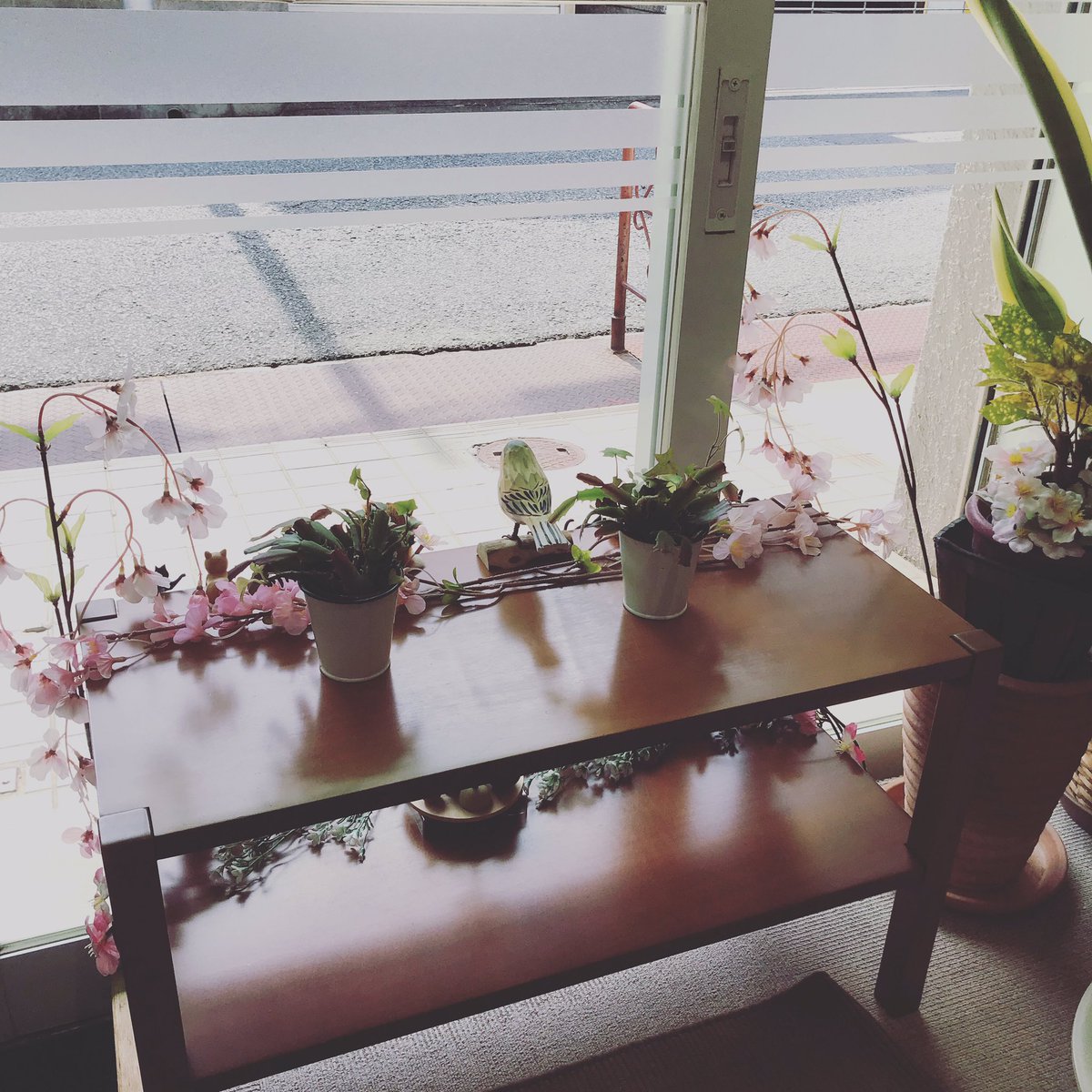watakabeseitai's tweet photo. もうすぐ春ですね♪
暖かくなれば心も身体も緩みだして、滞っている感情や身体の不調を感じ出している方が多いようです
そうかもと思った方は手放しのチャンスかも？
整体+リンパドレナージュ
リンパドレナージュ+チャクラヒーリング好評です
今キャンペーンで新患初回限定で50％オフ是非ご利用下さい https://t.co/guCa1l7Bsr