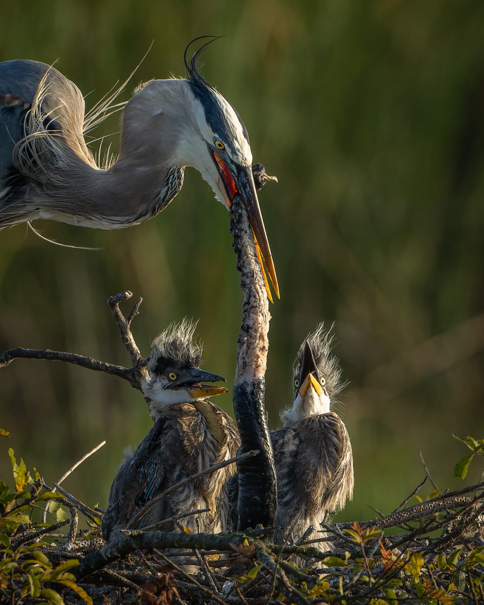 Brian ☀️🌏🌘 tweet media