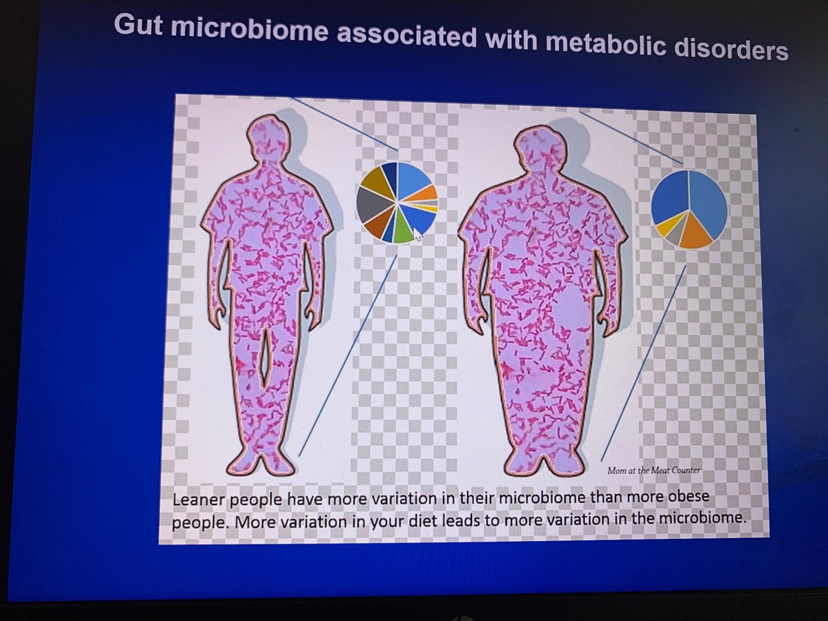 We are more bugs than man. How the diverse microbial population harboured in our #guts impact us and how #functional food plays a role revealed Professor Patricia Conway, visiting prof at Nanyang Technological University and founder of PC Biome, Singapore and Adjunct Prof in UNSW