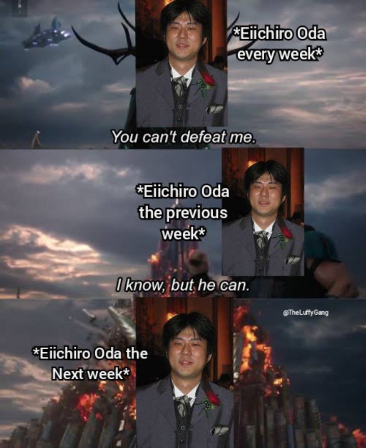 Luffy Gang tweet media