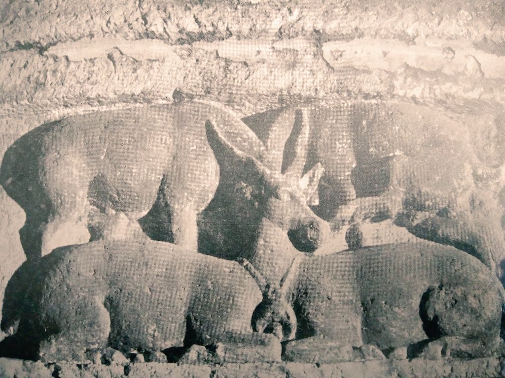 IndiaHistorypic's tweet photo. Sculpture of Four Deer and One Head
7th Century A.D ( 1300 Years Old )
Ajanta Caves ( Cave No . 1 ) https://t.co/Al0ZsIKJIN