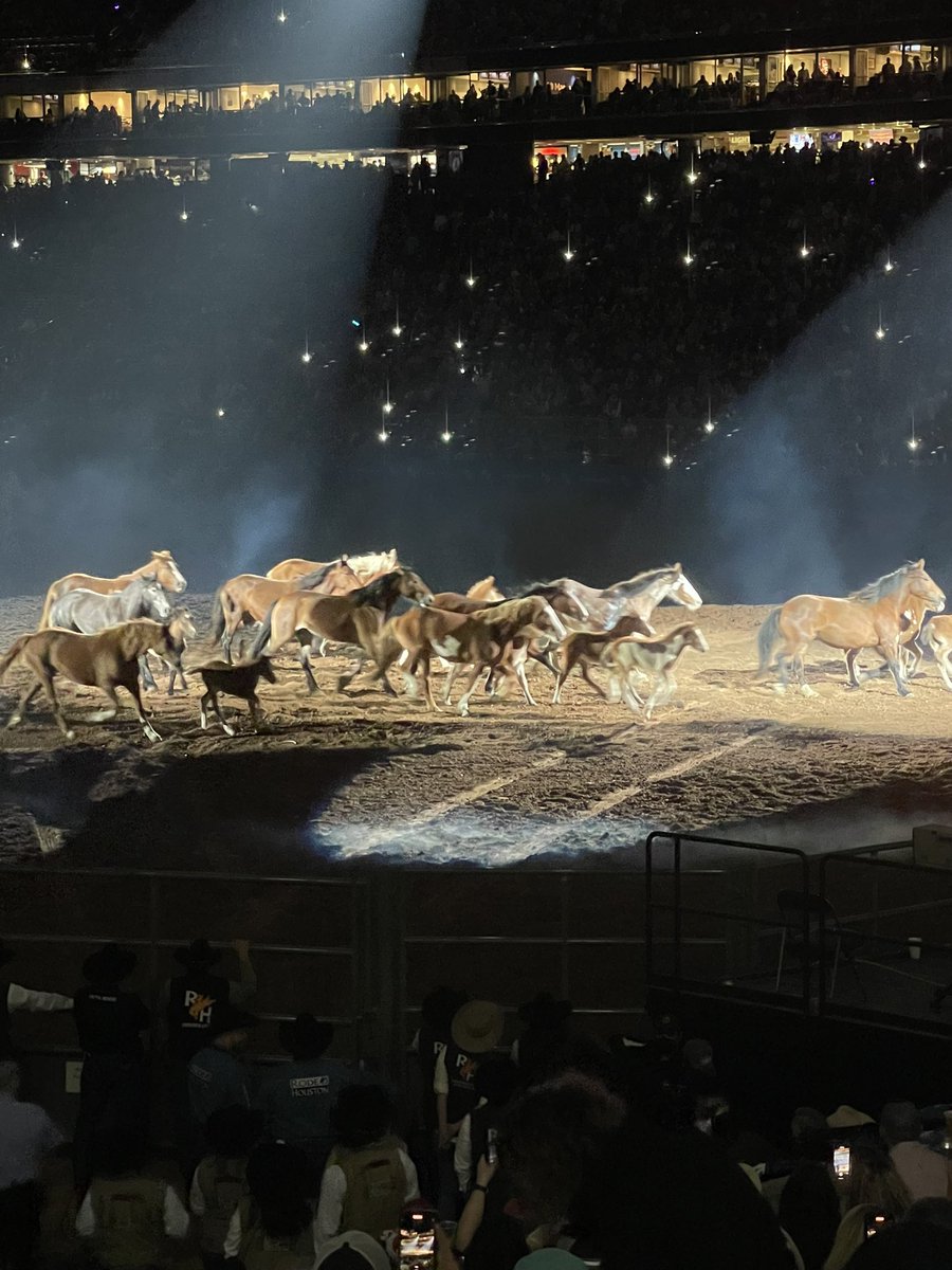 Emmabruggensch1's tweet photo. #HoustonRodeo  #Journey #8SecondRide🤠 https://t.co/p8XSxlgDNP