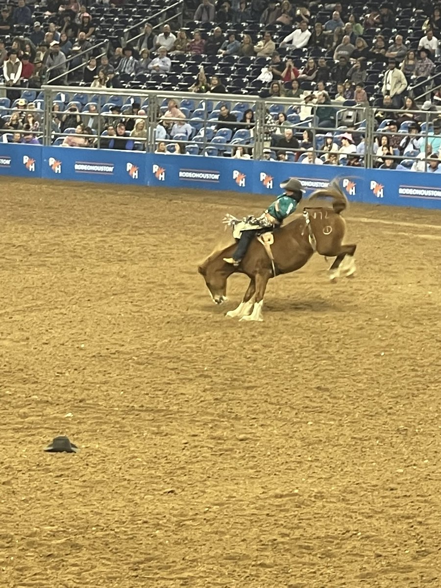 Emmabruggensch1's tweet photo. #HoustonRodeo  #Journey #8SecondRide🤠 https://t.co/p8XSxlgDNP