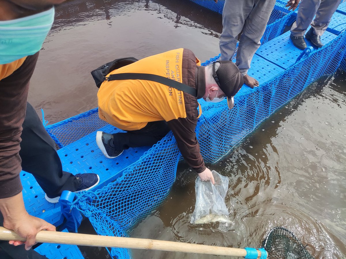 BP2MHKP Wilker Selatpanjang tweet media