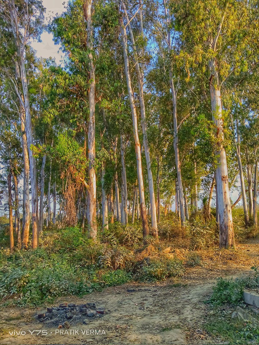 ayumay_team's tweet photo. Kya Haal hai...? 😍
#photographs #phtoto
#BTSV #mobilephotography
#Indian #best
#India #LockUppWithKangana
#PhotoOfTheDay  #FarmersProtest
#BBUltimate. #LISA
#photo #RadheyShyam
#Trending #Chelsea
#ElectionResults 
#Indian #India #RealMadrid
#reach
   PLZ LIKE &amp; RT IF YOU WANT.. https://t.co/x9gI8bKAGA