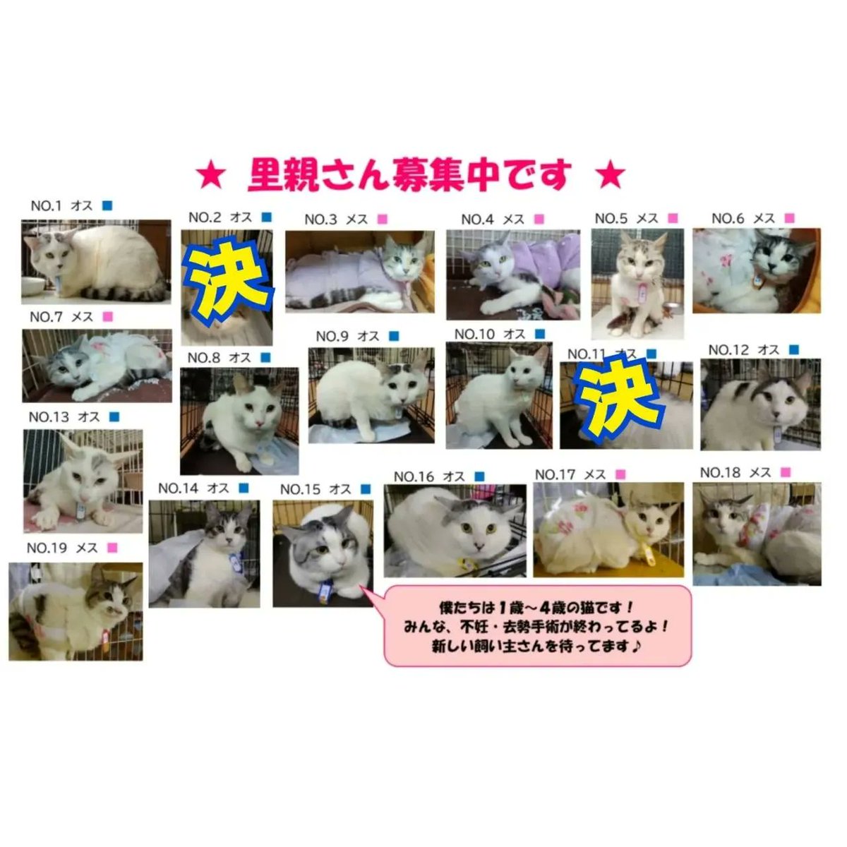 えんたね Entane50 Twitter