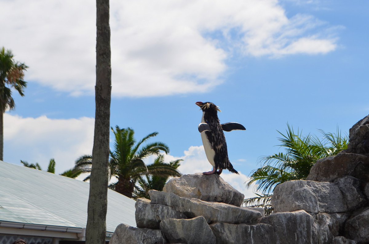 【デジフォトサークル紹介1⃣】

他の部活やサークルとの掛け持ちをしている人が多く、ゆる〜いサークルです☁️

活動は、月数回のミーティングと月1,2回の撮影会を行っています💁‍♀️

参加は自由なので、ゆるくやっていきたい方にはオススメです😉👌

#春から横市 #春からYCU