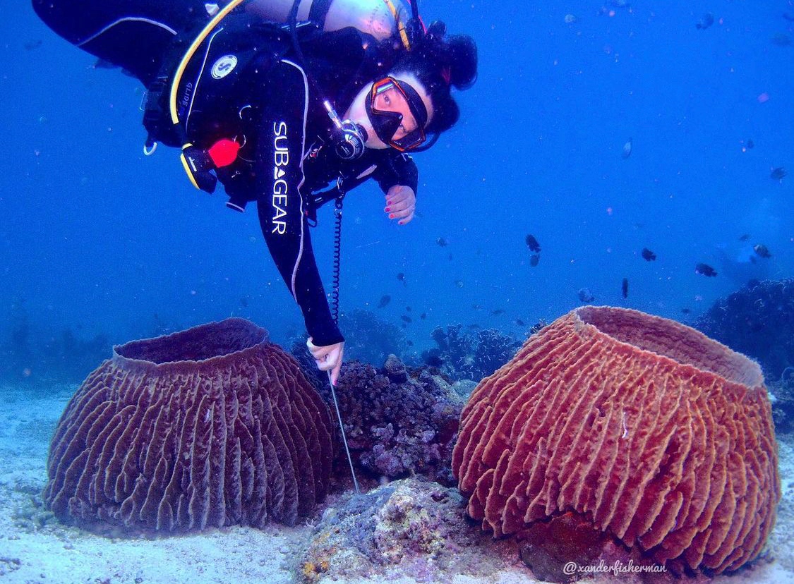 naui_id's tweet photo. #NAUIDiverDay

Hey @xanderfisherman, thank u for tagging us ur photo on International Women's Day this week.

Keep sending us beautiful photo frm ur collection!

Follow our Social Medias:⁠
🔹 Facebook: @naui.indonesia⁠
🔹 IG: @naui_id⁠
🔹Twitter: @naui_id⁠
⁠
#NAUIIndonesia https://t.co/aqqSRBUT3X