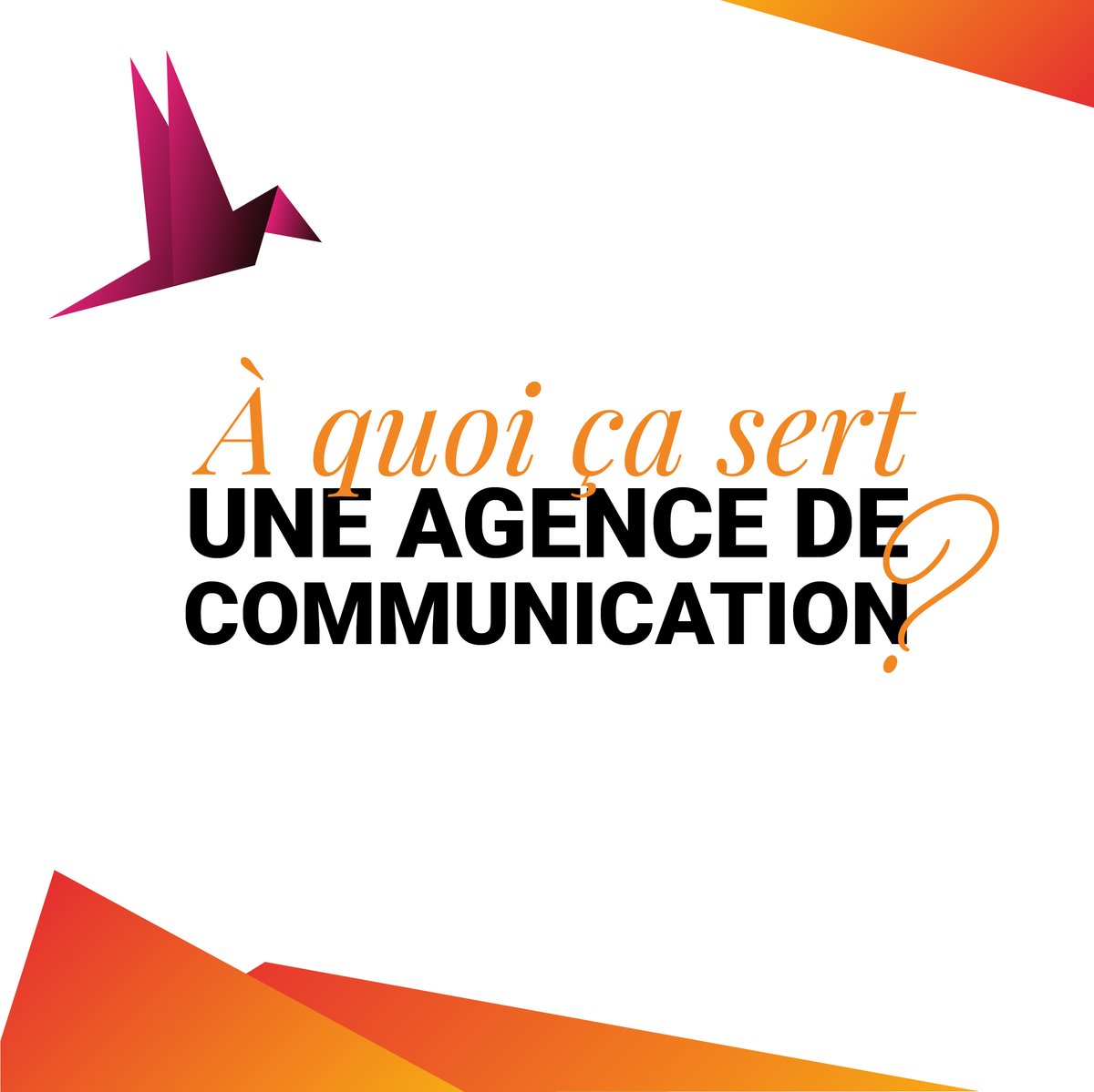 Jacqueline Chiarello tweet media