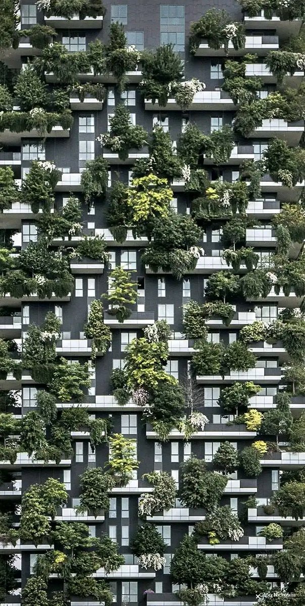 A ‘green’ building is a building that, in its design, construction or operation, reduces or eliminates negative impacts, and can create positive impacts, on our climate and natural environment. Green buildings preserve precious natural resources and improve our quality of life.