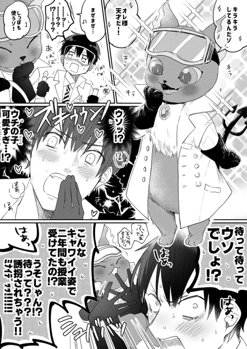 【 ⚠️ 顔 ア リ 監 督 生 ♂ が い ま す 】 

猫派の監督生と錬金術ボイスがクソ可愛いグリチャン🐱 