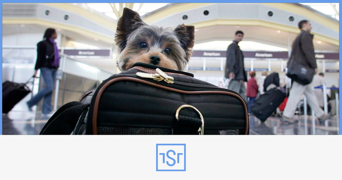 timeshare_tst's tweet photo. Помните - путешествуя с домашним животным, будьте готовы прибыть в аэропорт раньше, чем обычно. Так у вас будет ��ополнительное время для прогулки с питомцем перед регистрацией.

#лайфхак #отдых #путешествия #питомцы #полет https://t.co/Inxvr9hVH3