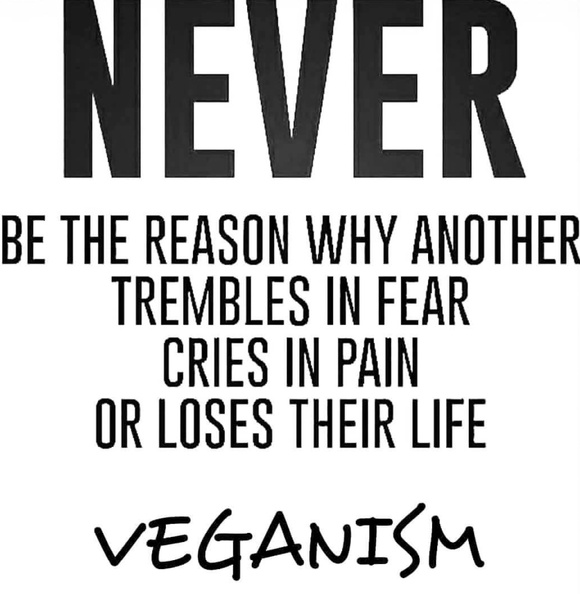 garyjseed's tweet image. Never be the reason. #Veganism