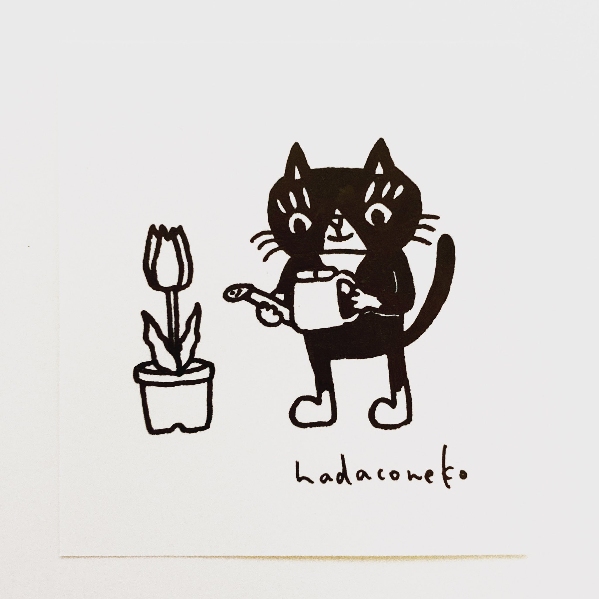 肌子 今日のイラストはコレ ｪ チューリップのお世話をする猫 イラスト 猫 ネコ ねこ オリジナル ペン画 アナログ画 絵 猫の絵 白黒猫 Cat Catart はちわれ猫 T Co Wfkh8m70ww Twitter