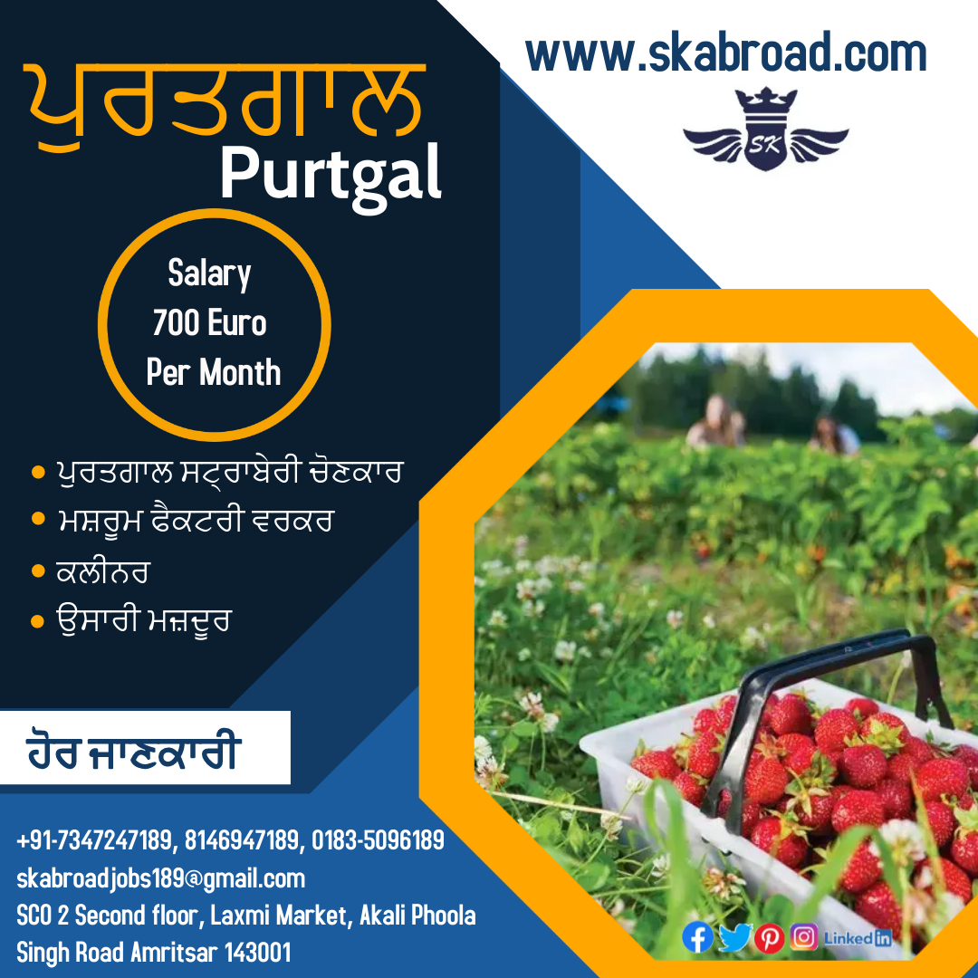sk_jobs's tweet photo. Requirement for Purtgal Strawberry picker, Mashroom factory worker, Construction labour and Cleaner
https://t.co/Jom9MdpliT
Contact Us : +91-7347247189, 8146947189, 0183-5096189
#strawberrypicking #strawberry #strawberries #strawberryfields #strawberryfarm #berries #fruit https://t.co/65S4pzYefp