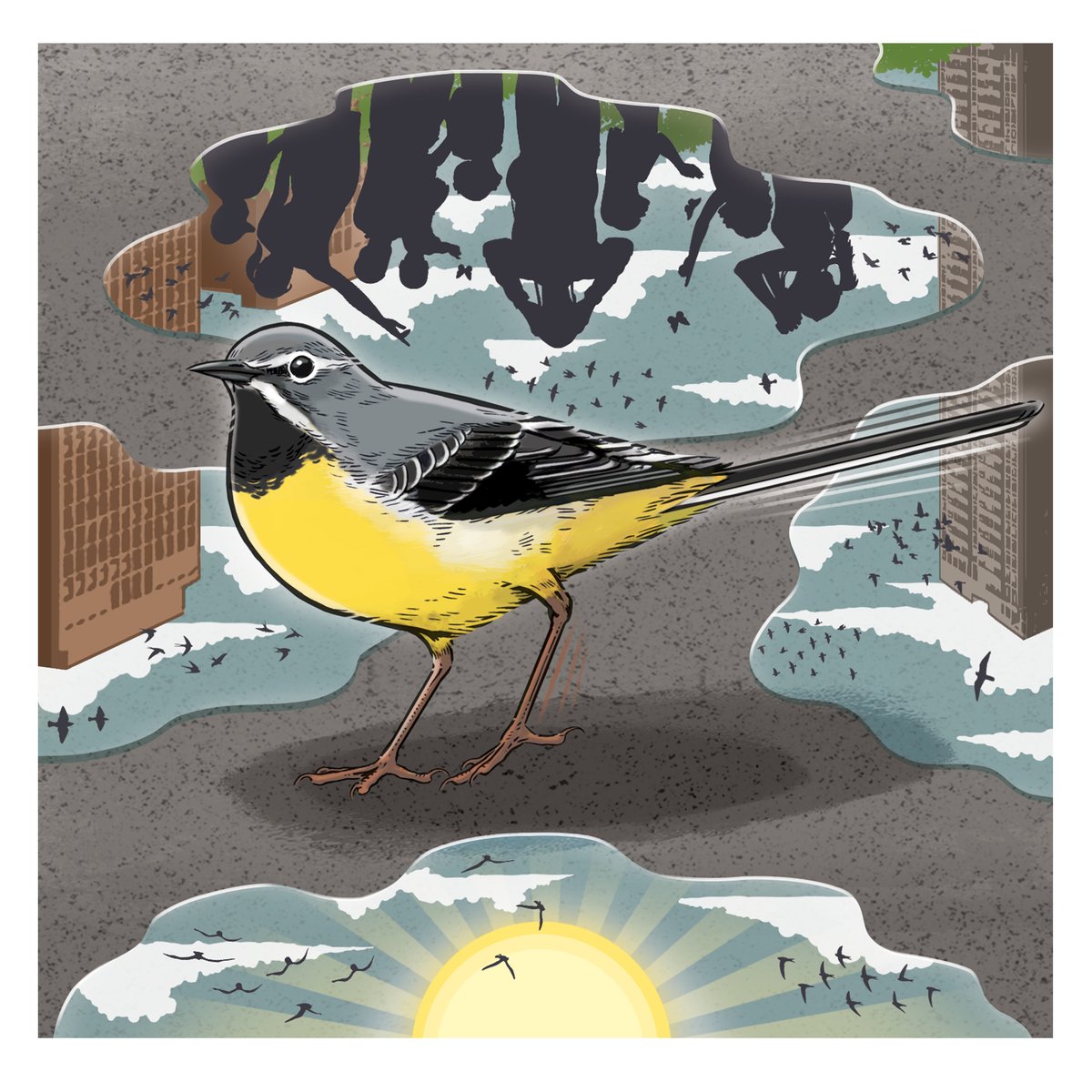 Here's my #illustration for the latest issue of BTO News. A great feature by the brilliant David Lindo <a href="/urbanbirder/">The Urban Birder - OFFICIAL</a>
Urban birding is a superb way to introduce young people to the wonders of birds. #birds #birding #bird #nature #wildlife #illustrator <a href="/_BTO/">BTO</a> theurbanbirderworld.com