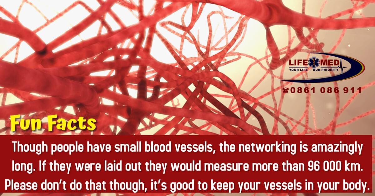 lifemedems's tweet photo. 𝐅𝐮𝐧 𝐅𝐚𝐜𝐭 𝐅𝐫𝐢𝐝𝐚𝐲

Did you know?🤔 https://t.co/QhhKrurhEQ