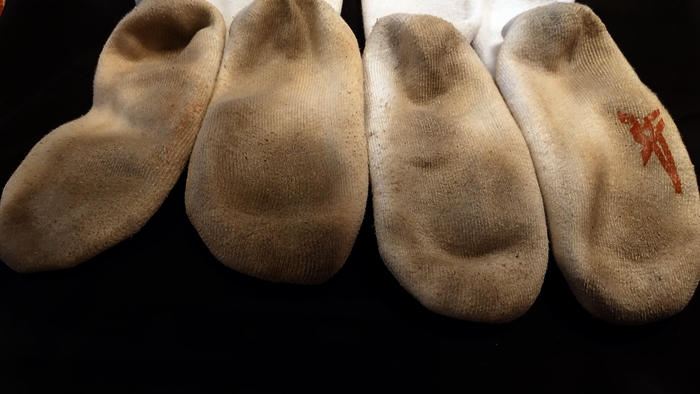 SAKASUTO BEAST tweet media