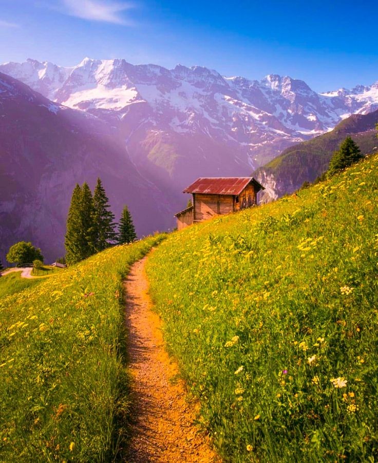 honky_tonk's tweet image. The path you are walking now is your path.
There is no failure in the Creator.

今歩んでいる道が、あなたの道です。
創造者に失敗なし。
#course #進路 #entrust #委ねる
RP @Angel_Stockler