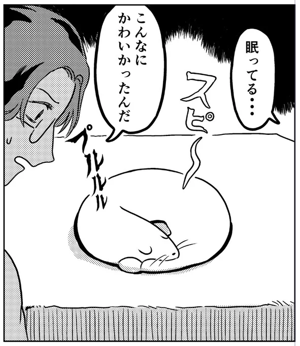🧸お知らせ🧸

ハルタ 92号に『ホビーショップ ヤッホー』という4ページの漫画を載せていただきました!
変なおもちゃ屋の小話です。
そして、引き続き持ち込み募集ページのイラストも担当させてもらっています。 https://t.co/Qqxlzkl7Fn 