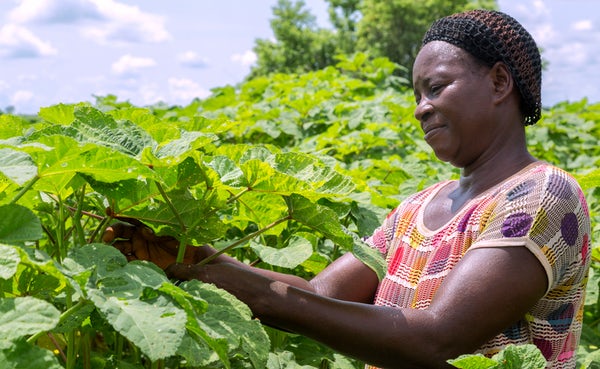 International Fund for Agricultural Development tweet media