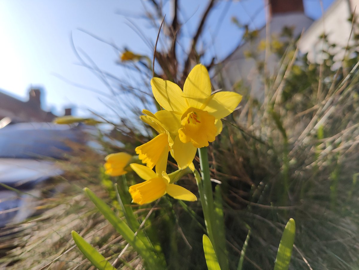 debugtiger's tweet photo. Point & Shoot on a windy day in the UK
#OnePlus10Pro #MainCamera
#MobilePhotography #Photo https://t.co/CKWCWp2NXW