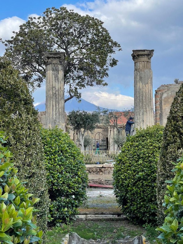 pompeii_sites tweet picture