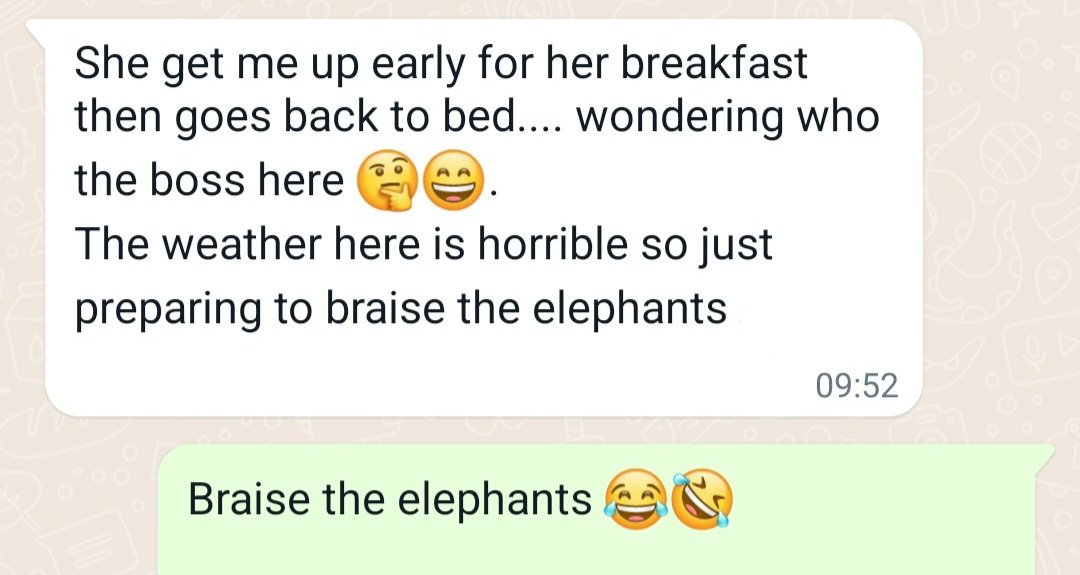 pennyheaton's tweet photo. For those of you needing a laugh today...my step mum talking about walking the dog in the rain "just off to braise the elephants"....brave the elements!!! 🤣🤣🤣🤣🤣
#TGIF https://t.co/q45eOQELBN