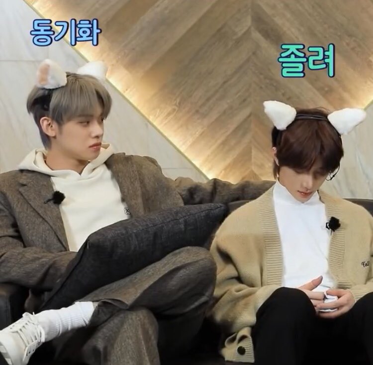 dnghg21's tweet image. Chủ tịch mèo lớn dắt mèo con của ảnh đi chốt đơn 🐻🦊

#yeongyu #junbam
#txtfanart