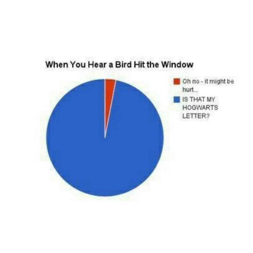 TheDailyHPotter's tweet photo. Why is this so true 🦉😂 https://t.co/yuM27ovr2R