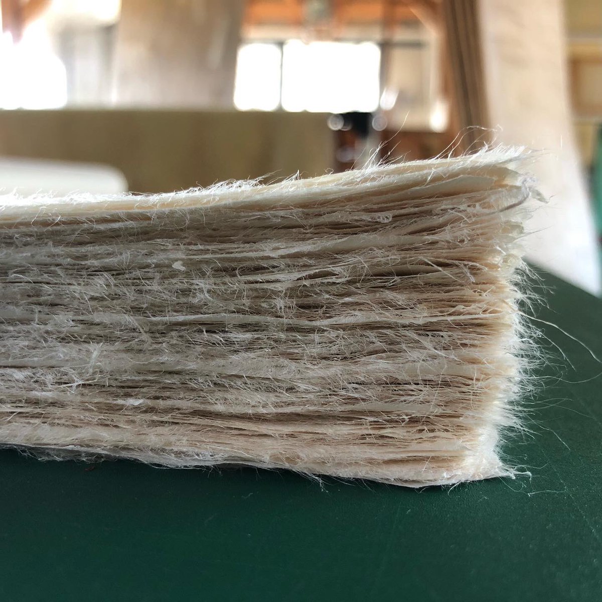 corsoyard's tweet photo. 昨日今日と紙干し作業。
天候に恵まれ、パリッと気持ち良く乾きました。
CORSOYARDPAPER KN-02
約2.7匁/京間判
漉き手 #有澤悠河
干し手 有澤悠河
那須楮(茨城県大子町周辺産楮)
保存殺菌剤不使用
https://t.co/EXB7y1iDhM
#手漉き和紙
#CORSOYARDPAPER https://t.co/MTWW9VOZHy