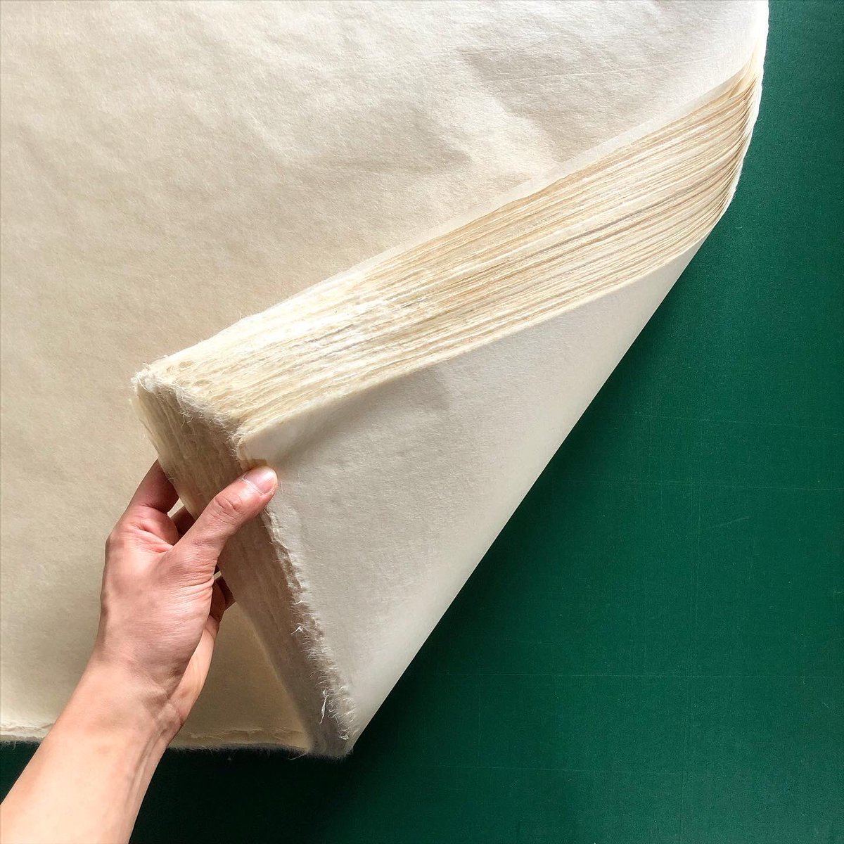 corsoyard's tweet photo. 昨日今日と紙干し作業。
天候に恵まれ、パリッと気持ち良く乾きました。
CORSOYARDPAPER KN-02
約2.7匁/京間判
漉き手 #有澤悠河
干し手 有澤悠河
那須楮(茨城県大子町周辺産楮)
保存殺菌剤不使用
https://t.co/EXB7y1iDhM
#手漉き和紙
#CORSOYARDPAPER https://t.co/MTWW9VOZHy