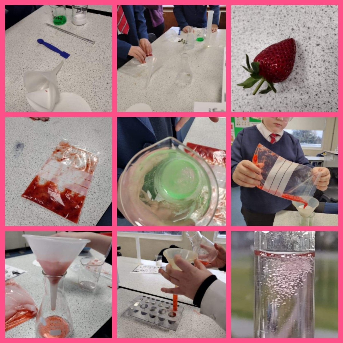 MHS_Science_'s tweet photo. STEM Club - extracting strawberry DNA! @MaghullHighsch #STEMeducation #DNA https://t.co/vuP9b7gfmH