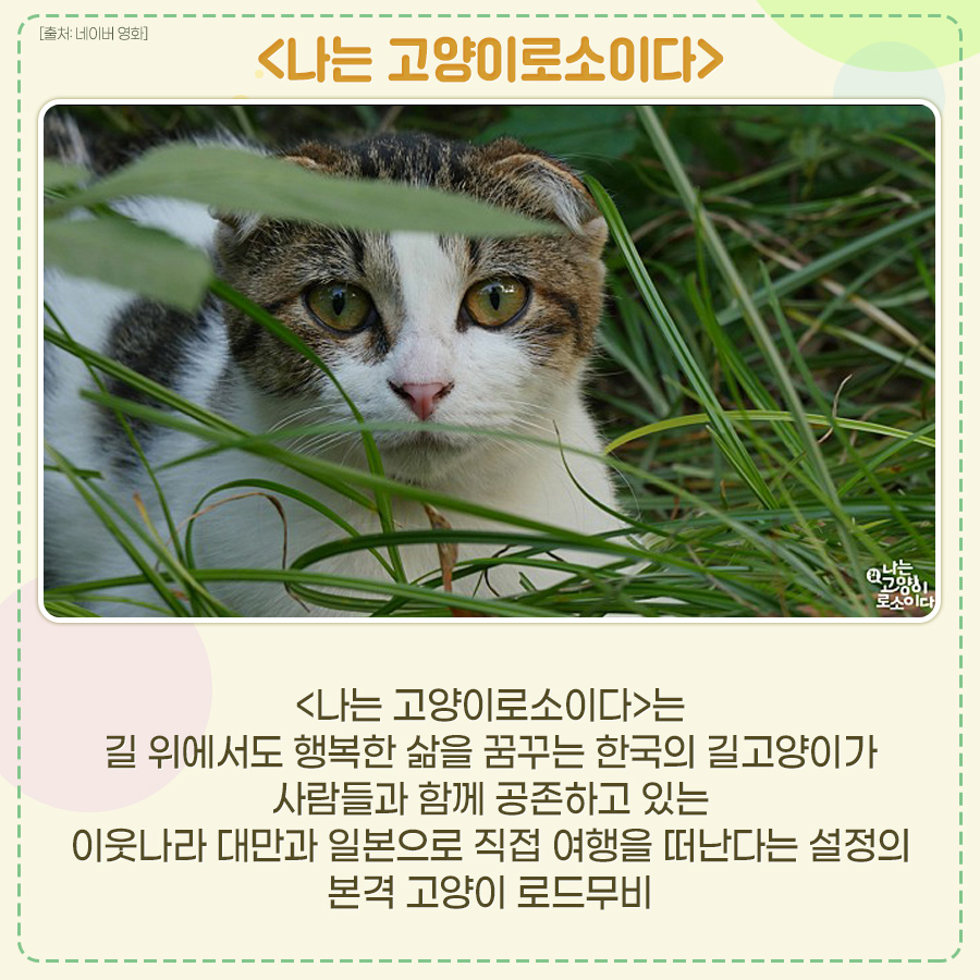 고양이는 ❤입니다 봄날처럼 마음이 따뜻해지는 고양이 영화.zip [^._.^]ﾉ彡 <#나는고양이로소이다> <#고양이춤><#고양이여행리포트> 인간과 고양이의...