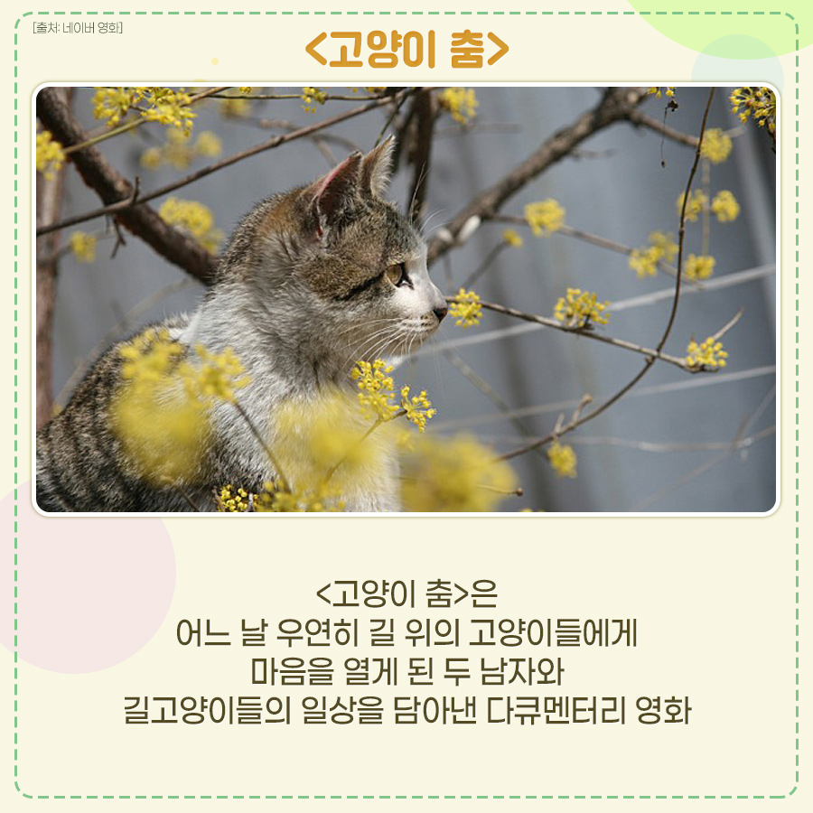 고양이는 ❤입니다 봄날처럼 마음이 따뜻해지는 고양이 영화.zip [^._.^]ﾉ彡 <#나는고양이로소이다> <#고양이춤><#고양이여행리포트> 인간과 고양이의...