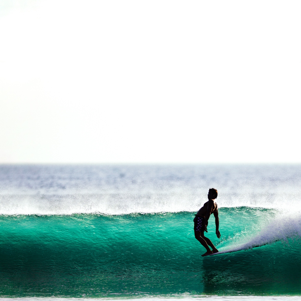 Deus Ex Machina Indonesia (@deusbali) on Twitter photo Wall to wall and treetop tall… that is all
Styler: @bangbangboogie
Shooter: <a href="/diditprasetyoa/">Didit Prasetyo Adiwibowo</a>
#deussurf Wall to wall and treetop tall… that is all
Styler: @bangbangboogie
Shooter: <a href="/diditprasetyoa/">Didit Prasetyo Adiwibowo</a>
#deussurf