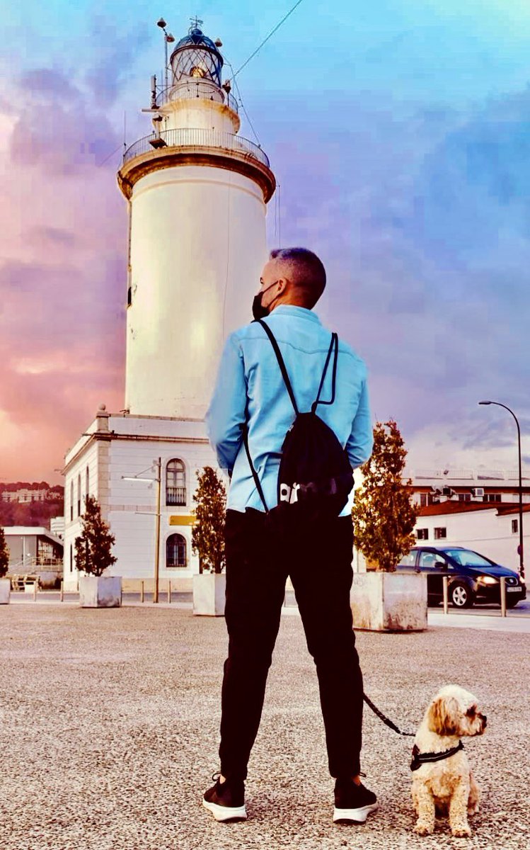 ᗪani GS tweet media