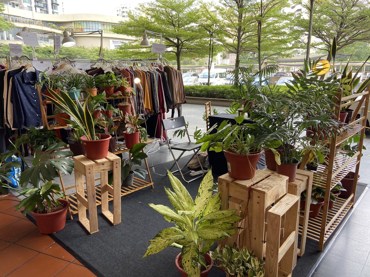 deeeats_'s tweet photo. Hello all! I’m selling plants this weekend ❤️ come by to Citta Mall to get your home some greens!!! https://t.co/Whkx5wmnZ1
