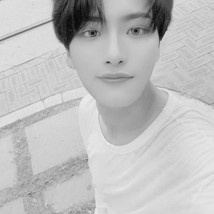 chieboIs's tweet photo. ㅤ ㅤ
 
 * ˚⋆ ☾ https://t.co/EfqLJgzdM9 FLEETS!📱    

        ⌕  location disabled.
        ✶⁎  O3. 11. 22   
        
        ❝ take a walk outside and have a peaceful day everyone! ❞ ☠️ https://t.co/S1Z0cOMISn