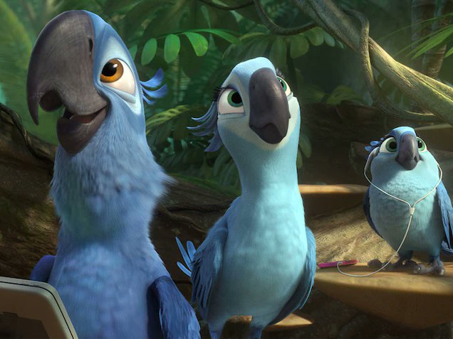 LoulouVivian's tweet photo. #Brazil's Spix #Macaw that inspired the movie Rio died a couple years ago. In my previous tweet, I stated that Spix Macaws are considered extinct in the wild. He was "among the last of his kind." #SupportIsEverything
#39canimals #WhatIlearnedin39C
https://t.co/oZgEni1MUe https://t.co/UEXoIGJDNF