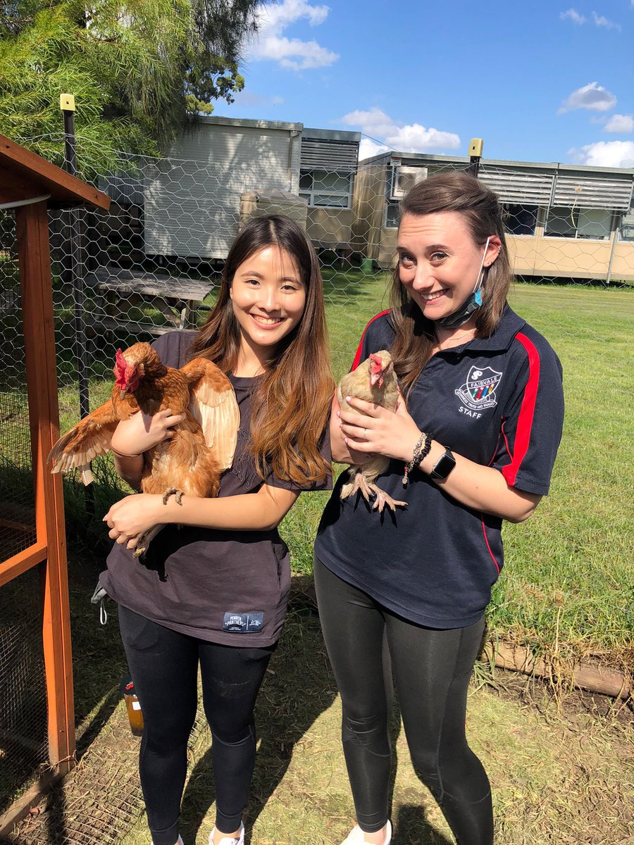 When <a href="/krtannous/">KTannous</a> tells you to suss out the pumpkin patch while you check on the chickens, you end up with dinner sorted. <a href="/AdiCarbone23/">Adrian Carbone</a> <a href="/fairvaleps/">FairvalePS</a> <a href="/AnthonyPitt4/">A R Pitt</a>