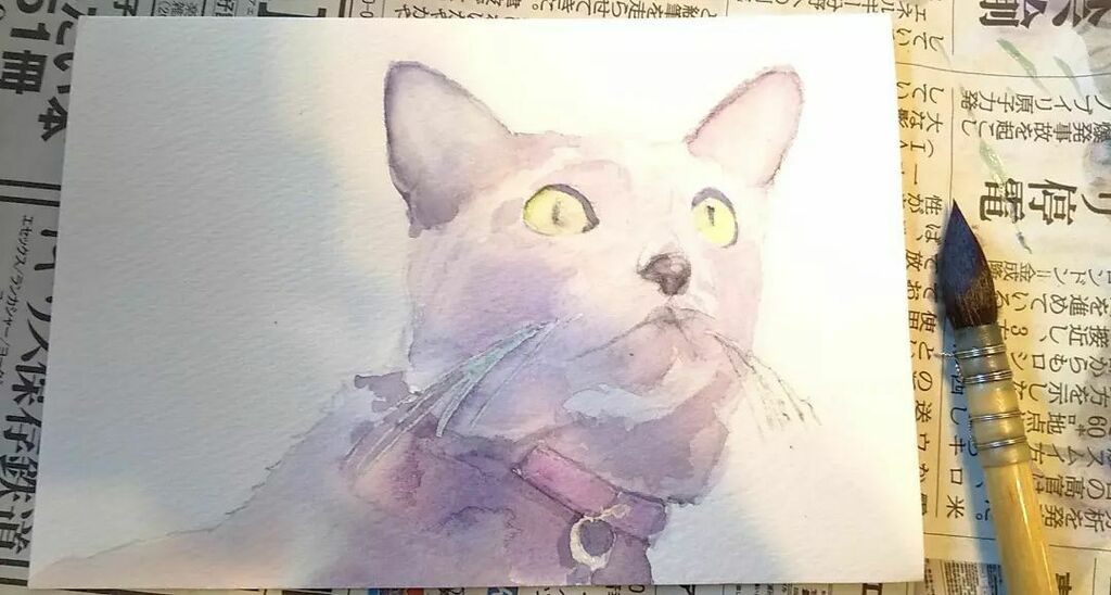 gonmorihikaru's tweet photo. ハガキサイズの作品を制作中。
#水彩 #gallerytk2 #interart7 #猫 #ロシアンブルー https://t.co/tdzKFvqYAz