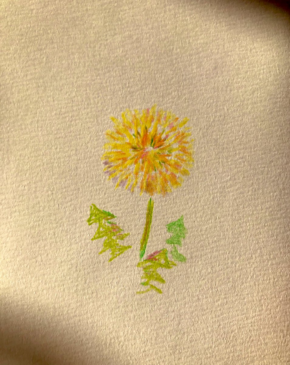 高瀬朝季のsns ブログ Twitter