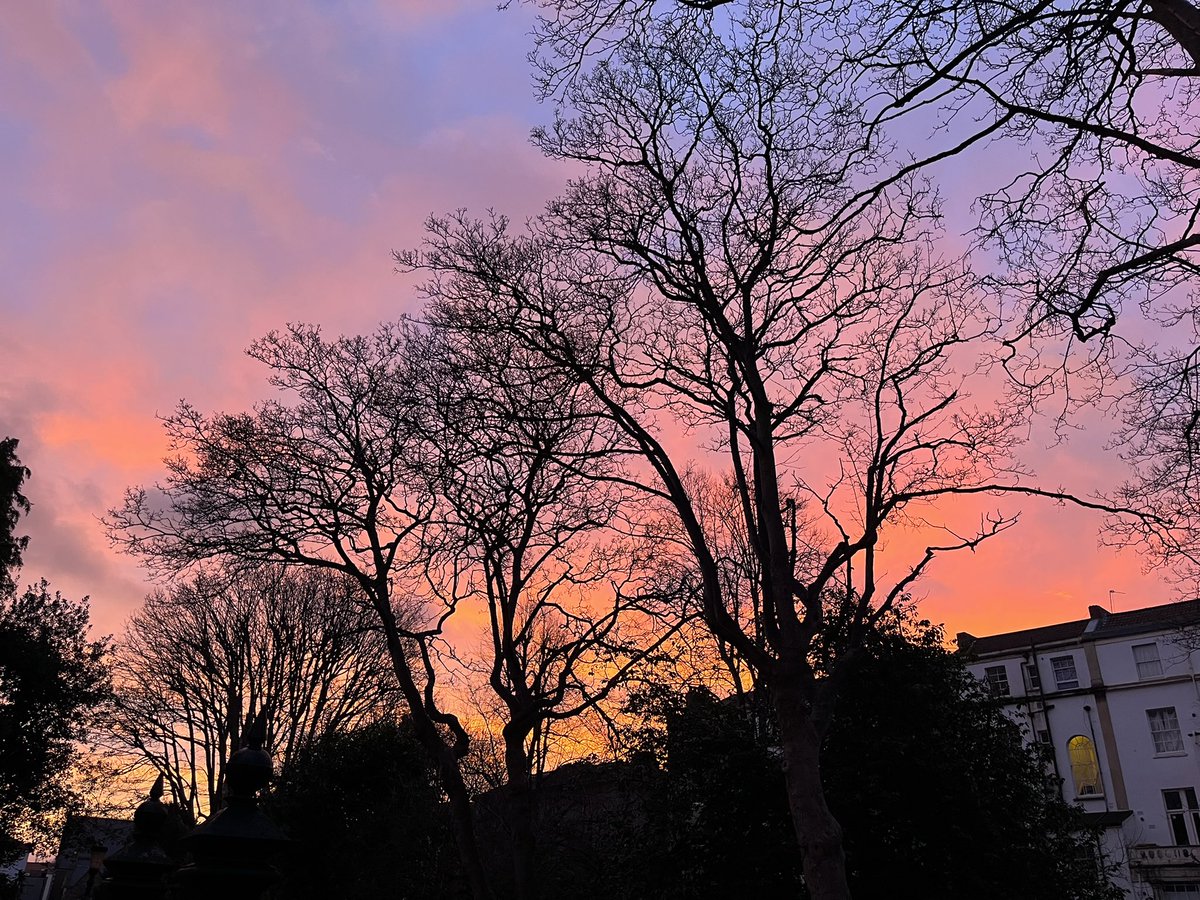 ArlingtonGarden (@arlingtongdnbs8) on Twitter photo Good morning from <a href="/ArlingtonGdnBS8/">ArlingtonGarden</a> Good morning from <a href="/ArlingtonGdnBS8/">ArlingtonGarden</a>