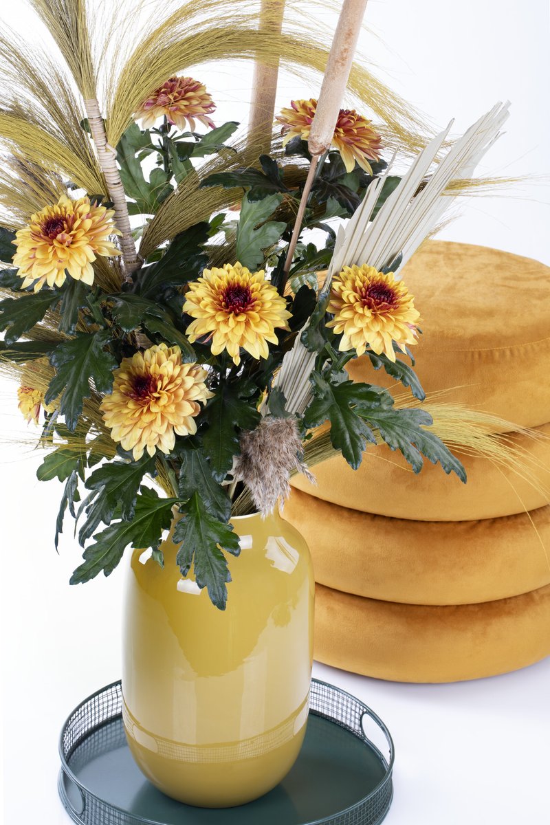 Deliflor Chrysanten tweet media