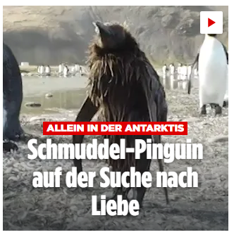 da Chiemgauer 📯🥨 tweet media