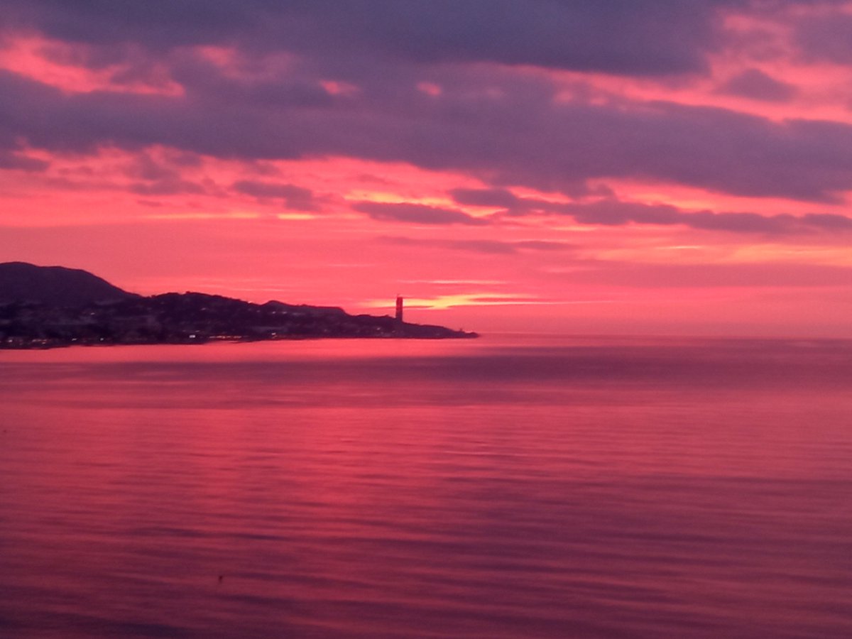 Fernando Rivas tweet media